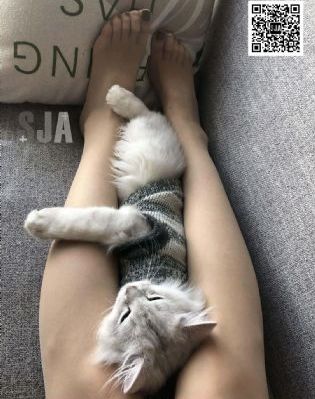 流星花园第一部_BD英语电影完整版