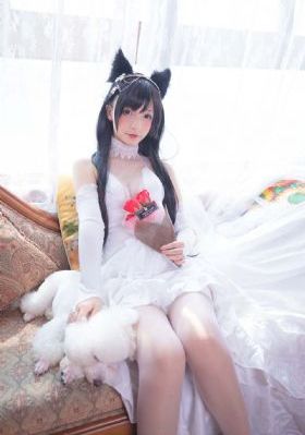 《信徒》电影在线观看_DVD在线手机播放